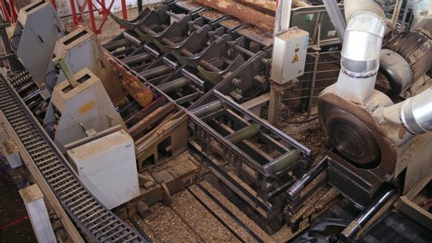 Forest product industries. Sawmill. Process of machining logs in a machine, Heavy industry equipment. Closeup. view from the top. Wood industry facilities.