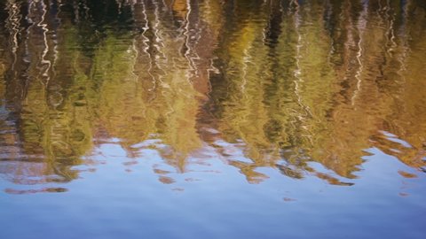 Abstract Autumn Colors Reflexions in Water