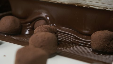 Chocolate truffles on a conveyor belt at candy factory Adlı Stok Video