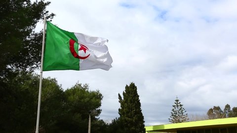 Algerian flag in a windy day