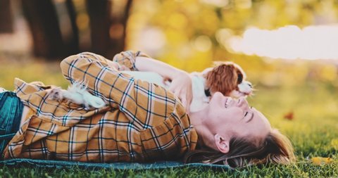 Puppy Cuddling With Owner, Young Woman, Relaxing On The Grass In Park. SLOW MOTION. Cavalier King Charles Spaniel dog enjoying sunny sunset outdoors, hugging with smiling girl. Pet and owner love.