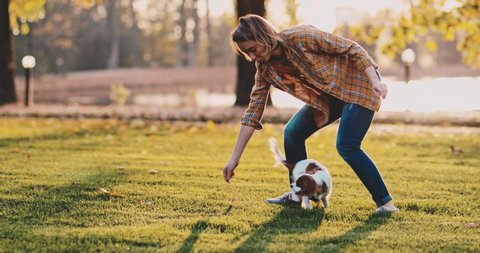 Woman Playing With Puppy In The Park. SLOW MOTION. Cavalier King Charles Spaniel baby dog enjoying sunny sunset outdoors, running and jumping with laughing girl. Pet and owner love.