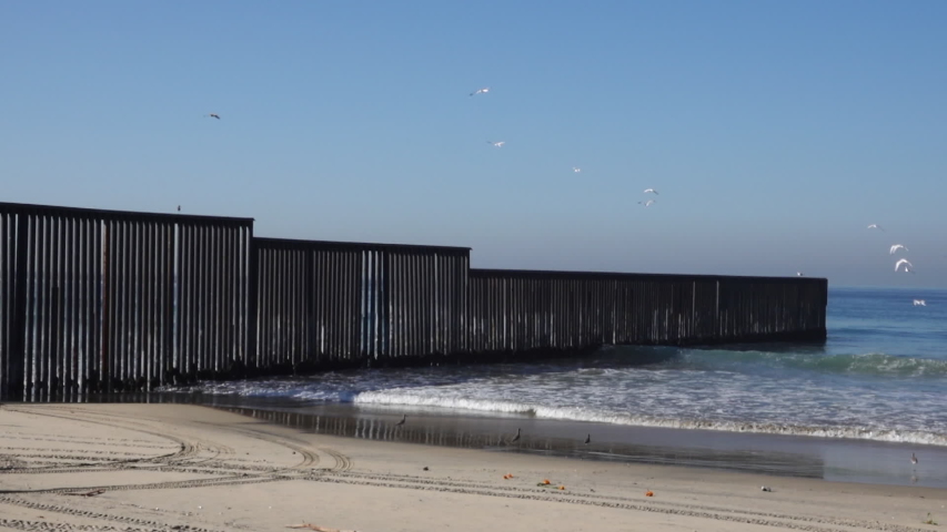 Seabirds fly freely across the formidable border fence between San Diego and Tijuana.
