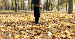 Young woman walk in the autumnal park. Girl walks through the autumn city park on a sunny warm day. Fallen yellow and orange leaves