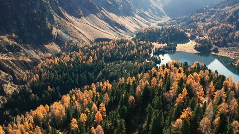 Aerial 4K - Engadina (CH) - Maloja Pass - Lake Cavloc and Forno valley - Autumnal view