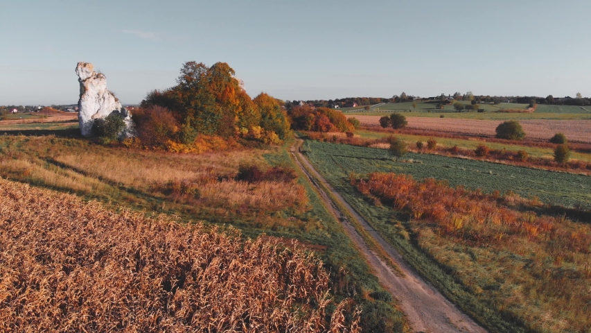 Aerial footage of jurassic highland near Cracow. Drone flight above green rocky hills. Autumn colored plants among the green grasses of uplands.