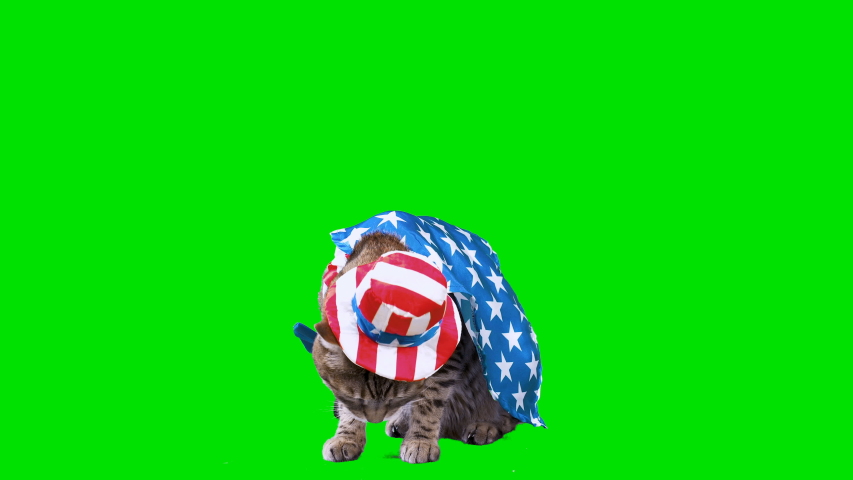 Uncle Sam Patriotic Hat, 4th of July image - Free stock photo - Public ...