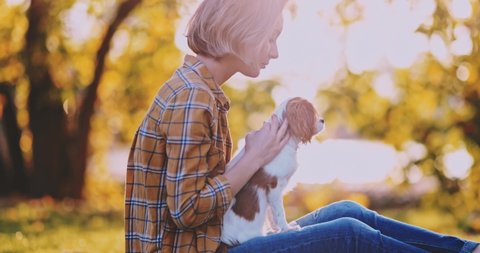 Puppy Cuddling With Owner, Young Woman, Relaxing On The Grass In Park. SLOW MOTION. Cavalier King Charles Spaniel dog enjoying sunny sunset outdoors, hugging with smiling girl. Pet and owner love. : vidéo de stock