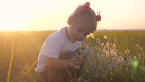 little girl studies plant flower willow tree slow-motion video. blonde child lifestyle touches sniffs outdoors in the park looks at the grass sunset