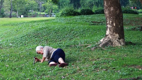 Asian elderly woman on the grass after falling down,sick senior mother fell to the floor while walking exercise because of dizziness,faint,suffering from illness,caring daughter,granddaughter to help 