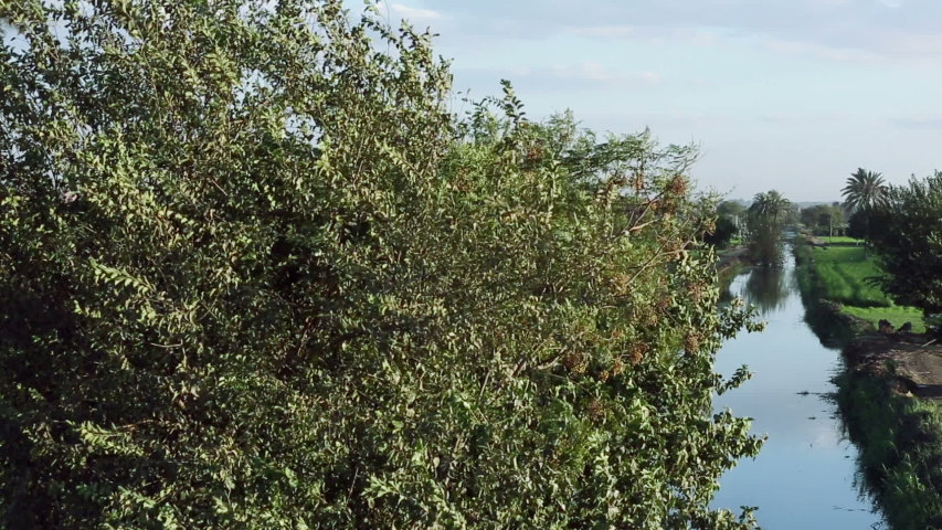 An agricultural land in countryside in front of pyramids, pan right, Egypt. In 2000, agriculture accounted for 17% of Gross Domestic Production and 34% of total employment of Egypt.
