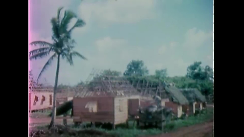 CIRCA 1945 - Thatching is unloaded from trucks in Guam and men apply it to housing.