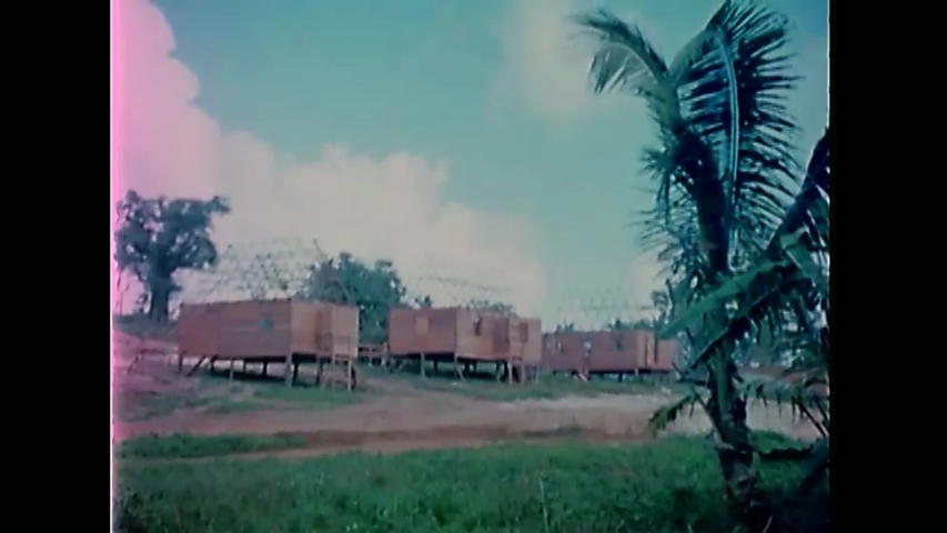 CIRCA 1945 - US Navy Seabees help locals build houses in Guam.