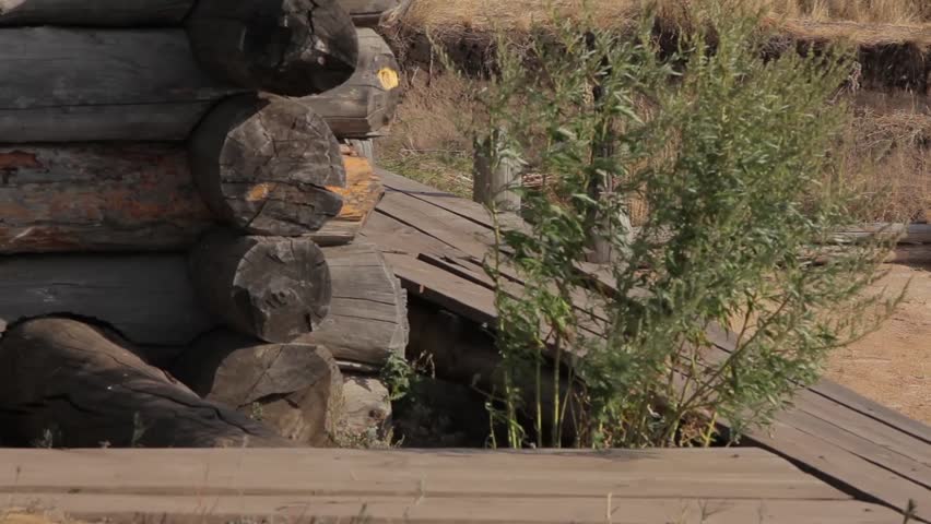 Arkaim museum wooden building corner bush steppe camera motion up medium shot