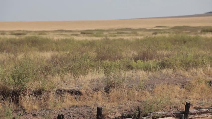 Arkaim museum logs grass steppe camera motion down long shot