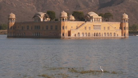 An egret stands on the shore of man sagar lake with jal mahal palace in the background at jaipur, india