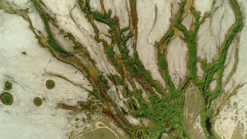 Aerial top down network rivers delta branches unusual landscape swampy grass along edge sand desert. Patern salt lake Elton natural wonder Russia extraterrestrial mystical wild untouched