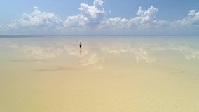 Girl walks through shallow water brine open space salt lake Elton unique sight Russia wonder nature pattern surface crust cracks Natural landscape clouds reflected mirror. Epic skyline. Aerial back - Powered by Shutterstock - Get 15% off with code: PIKWIZARD15