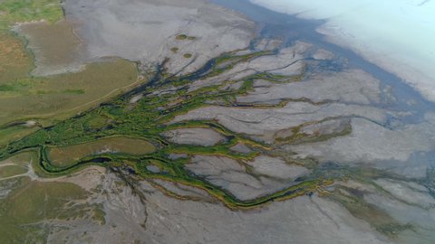 Cinematic natural landscape river delta many branches network of channels green grass swampy crust salt white costal lake Elton Russia sight beautiful mini ecosystem. Life on new planet surreal place.