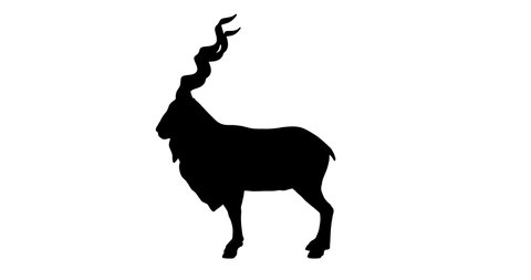 Markhor silhouette. Turntable animation. 3d rendering.