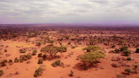 An aerial view over savana safari landscape, Kenya, Africa