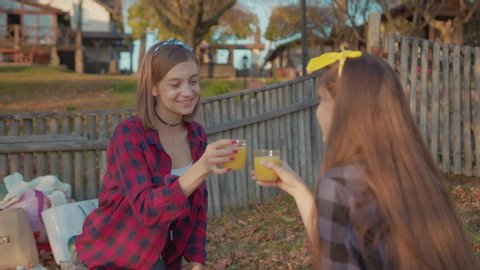 Young attractive girls toasting with glasses drinking tasty fresh juice on pleasant autumn picnic. On date two flirting girlfriends tasting juice looking at each other staying in the countryside.