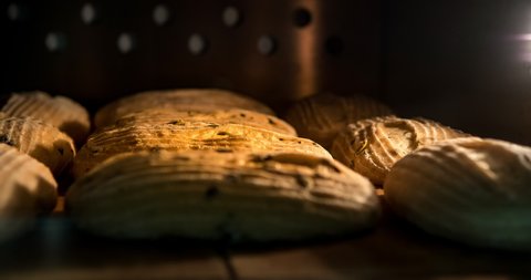 Warm fresh bread in a bakery. Making ciabatta and eco production. Manufacturing process working hard. Bakery shop and selling rooty. Baking Italian bio bread in oven. Time lapse footage of cooking.