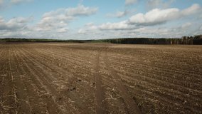 4K aerial autumn early morning quality video footage of unidentified man metal detecting on recently plowed corn field after harvest, rich soil reflecting clouds at small village in Vladimir, Russia