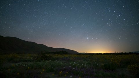 Astro timelapse of Milky Way galaxy rising over wildflower superbloom in Anza Borrego Desert State Park in California