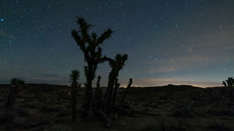 Astro timelapse dolly tracking shot of Milky Way galaxy rising through Joshua Tree in Mojave Desert, California
