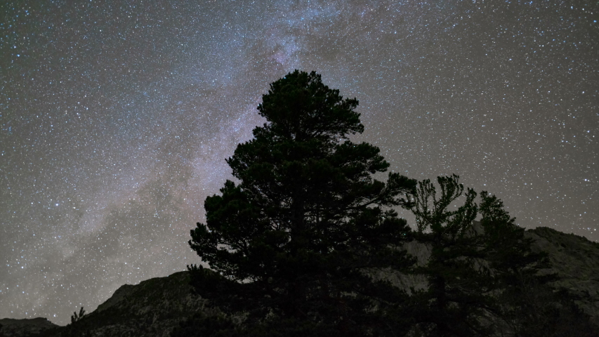 Astro timelapse tracking shot of Milky Way galaxy over timber tree in Eastern Sierra, California