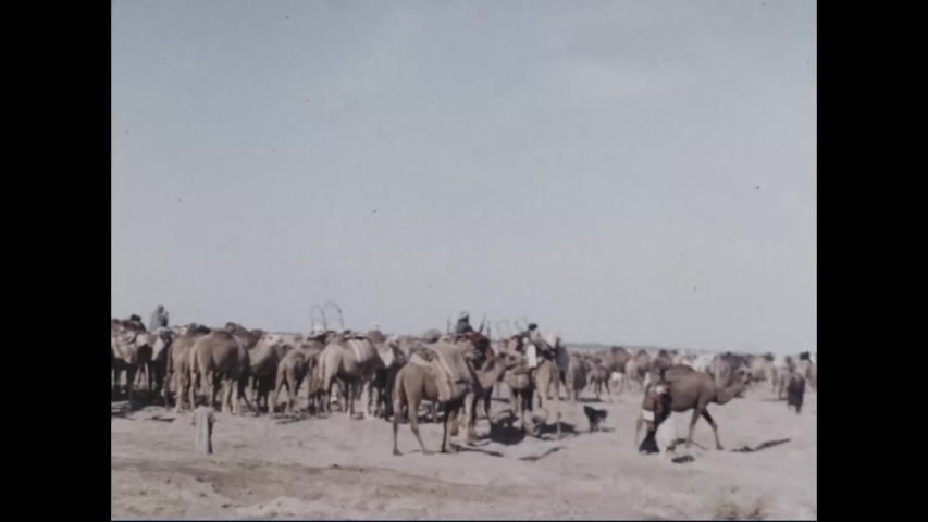 CIRCA 1960s - A huge herd of camels, horses, sheep, dogs and people travel down a dusty Iraqi road and end up in a beautiful city.