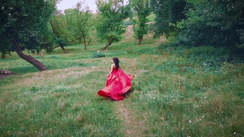 Beauty Woman brunette woman in a luxurious flying silk red dress with long waving train. shooting in motion from the air. The girl runs through green nature, fabric flutters. Shooting from the back