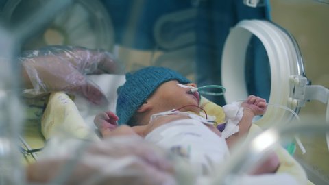 Nurse checks baby in infant incubator.