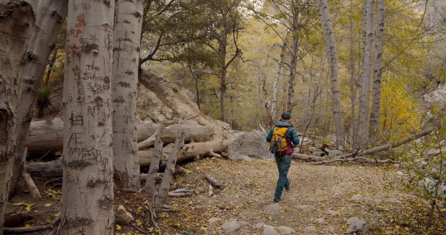 Man is Hiking in the forest and mountains slow motion