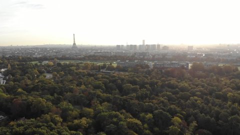 Aerial Revealing of Paris skyline with Eiffel Tower from the crowns of trees in Boulogne Forest at morning