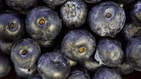 macro dolly shot of details of the arranged blueberries ,4K resolution top view.