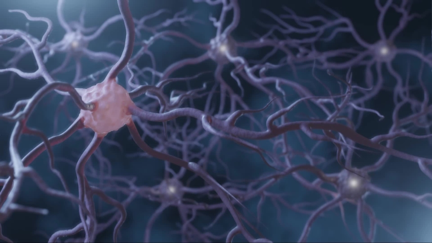 Neuronal and Synapse Activity animation. Neurons in the head, neuroactivity, synapses, neurotransmitters, brain, axons. Electrical impulses inside the human brain. Royalty-Free Stock Footage #1040689661