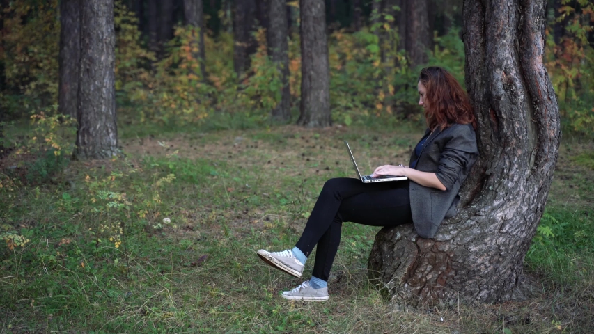 Beautiful young girl working on laptop in pine forest. Freelance, outdoor work