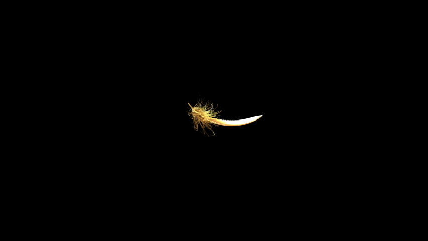 4K. Flying Golden Feather On Black Background. Seamless Looping. 3D Animation. Ultra High Definition. 3840x2160. Royalty-Free Stock Footage #1040714543