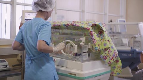 Pediatrician or nurse approaches the incubator with a  premature newborn baby, opens the window,pokes hands and cares for tiny newborn conceived using in vitro fertilization.