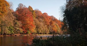 Wonderful 4K video of beautiful Boyne river and colorful surroundings in autumn tones, during golden hour, Co. Meath, Ireland