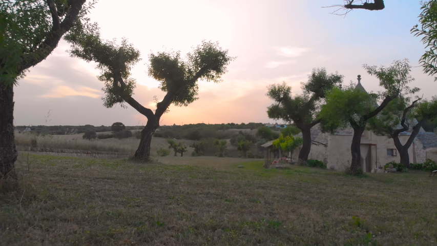 Aerial View through the Olive Trees of Trullo in Puglia Italy Royalty-Free Stock Footage #1040727011