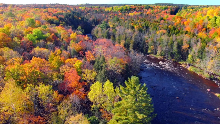 Autumn in Northern Wisconsin, colorful trees, scenic river through forest, aerial view.

