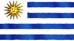 Flag of Uruguay - 4K high resolution flag Oriental Republic of Uruguay, evolving in the wind. Full HD footage