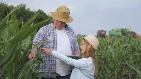 Girl with grandfather in corn field, grandfather farmer is teaching the younger generation using a tablet. The concept of generations, technology and farming.