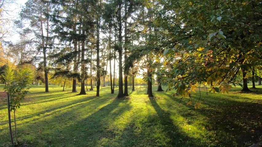Nature in autumn. Trees in park in october. Beautiful season