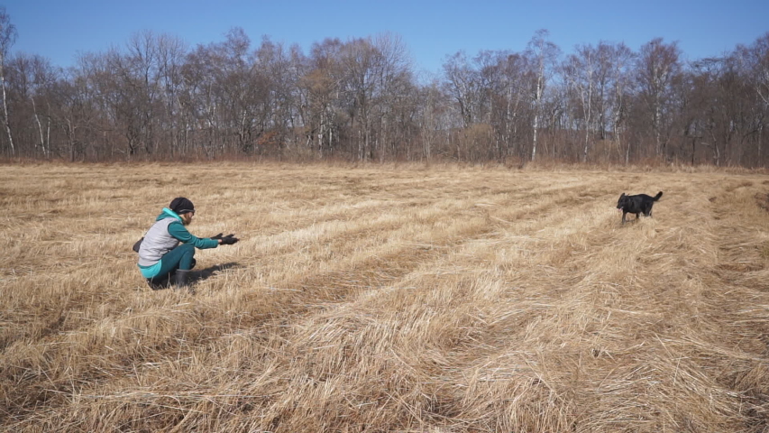 A big black dog runs up to the girl and she kisses him. The girl sits in the field and calls her big black dog, he runs to her and she kisses him. Russia, Vladivostok