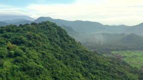 The nature of Indonesia. Video shooting from the air. Flying over the green hills.