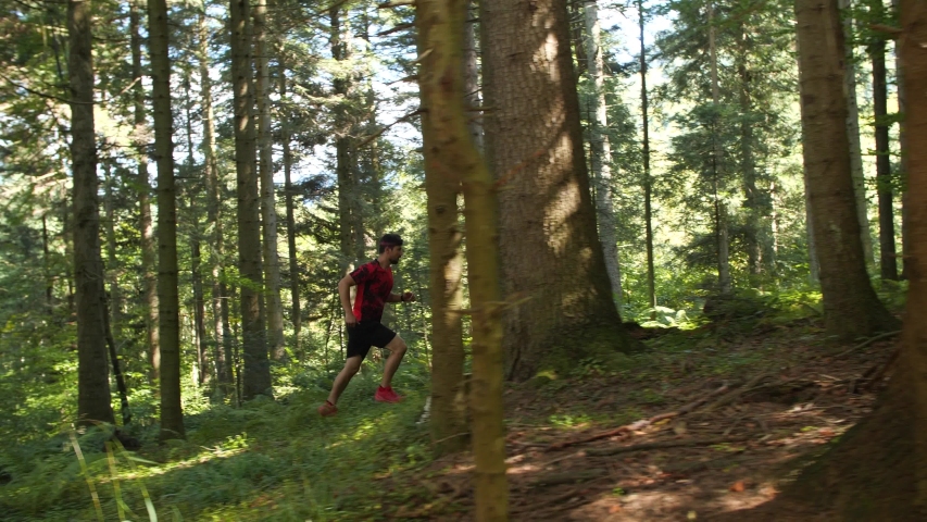 Running Man In Forest. Runner Man Fit Athlete Legs Jogging On Trail Preparing For Ultra Race.Triathlete Running,Sprinting And Endurance Workout Training. Sport Concept. Royalty-Free Stock Footage #1040768318